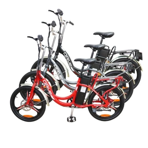 Drive V3 Electric Bicycle | 50-80km Long Range, LTA Approved E-Bike